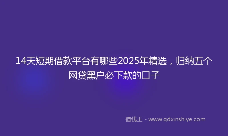 14天短期借款平台有哪些2025年精选，归纳五个网贷黑户必下款的口子