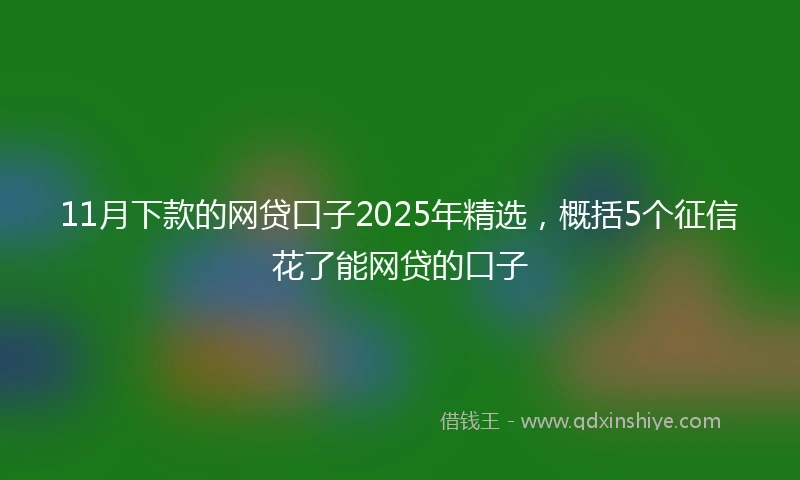 11月下款的网贷口子2025年精选，概括5个征信花了能网贷的口子