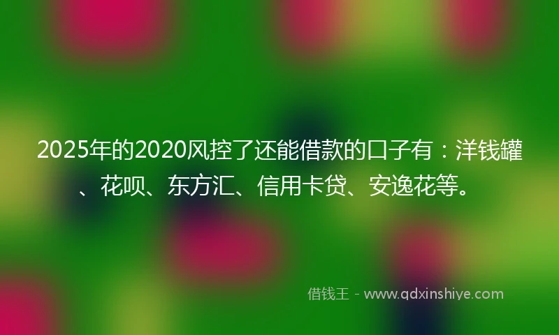 2025年的2020风控了还能借款的口子有：洋钱罐、花呗、东方汇、信用卡贷、安逸花等。