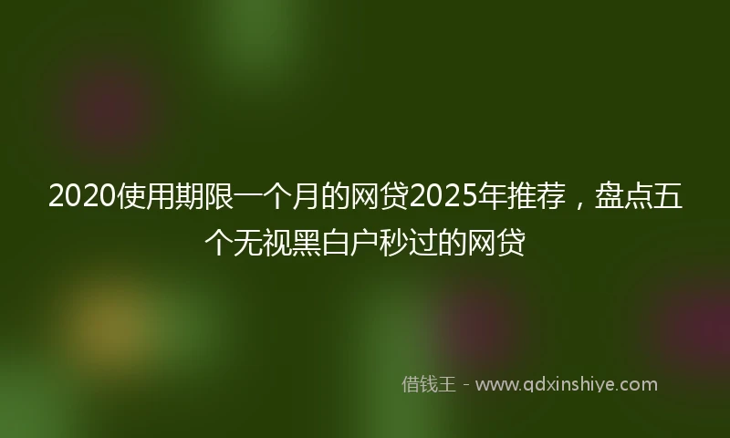 2020使用期限一个月的网贷2025年推荐，盘点五个无视黑白户秒过的网贷