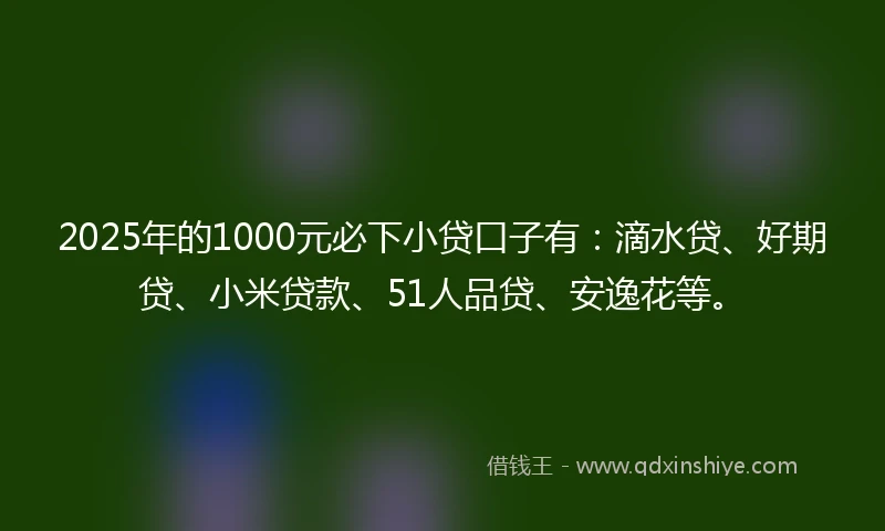 2025年的1000元必下小贷口子有：滴水贷、好期贷、小米贷款、51人品贷、安逸花等。