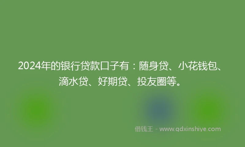 2024年的银行贷款口子有：随身贷、小花钱包、滴水贷、好期贷、投友圈等。