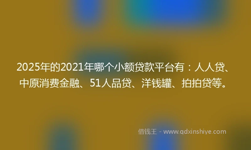 2025年的2021年哪个小额贷款平台有：人人贷、中原消费金融、51人品贷、洋钱罐、拍拍贷等。