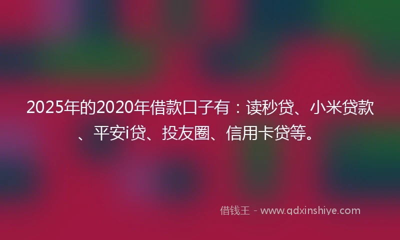 2025年的2020年借款口子有：读秒贷、小米贷款、平安i贷、投友圈、信用卡贷等。