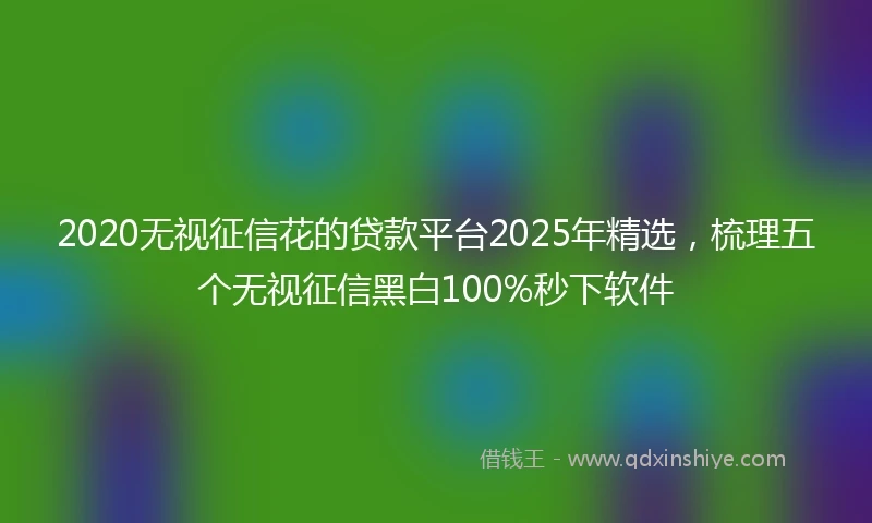 2020无视征信花的贷款平台2025年精选，梳理五个无视征信黑白100%秒下软件