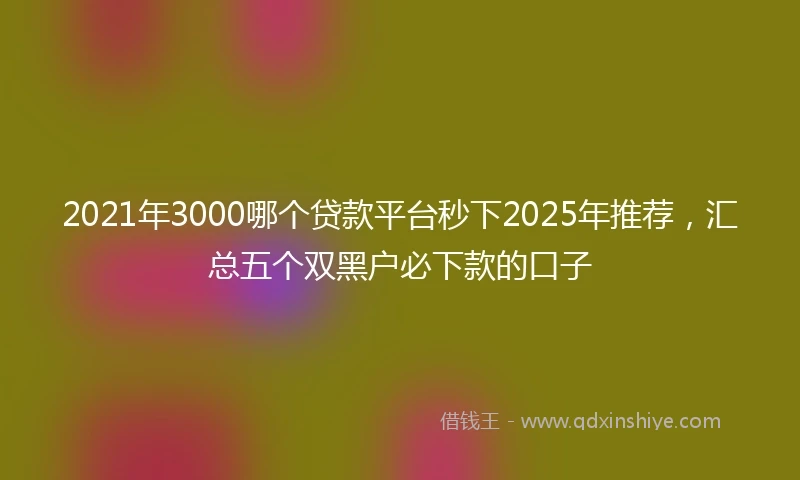 2021年3000哪个贷款平台秒下2025年推荐，汇总五个双黑户必下款的口子