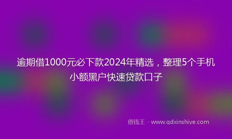 逾期借1000元必下款2024年精选，整理5个手机小额黑户快速贷款口子