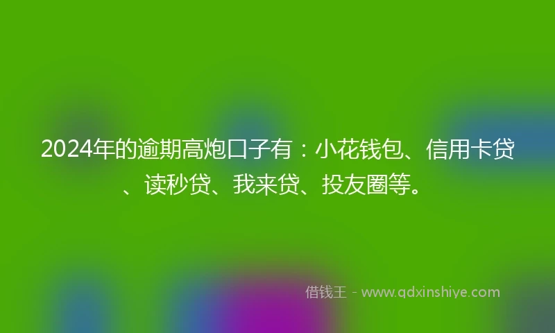 2024年的逾期高炮口子有：小花钱包、信用卡贷、读秒贷、我来贷、投友圈等。