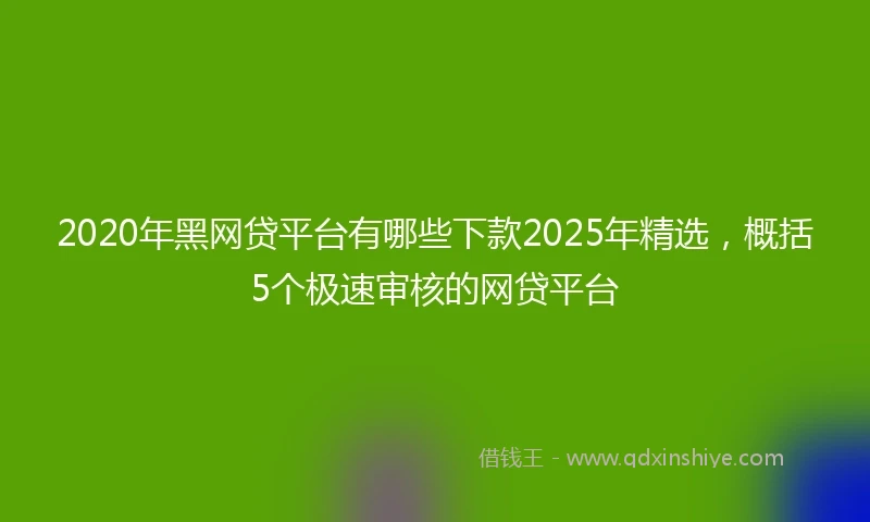 2020年黑网贷平台有哪些下款2025年精选，概括5个极速审核的网贷平台