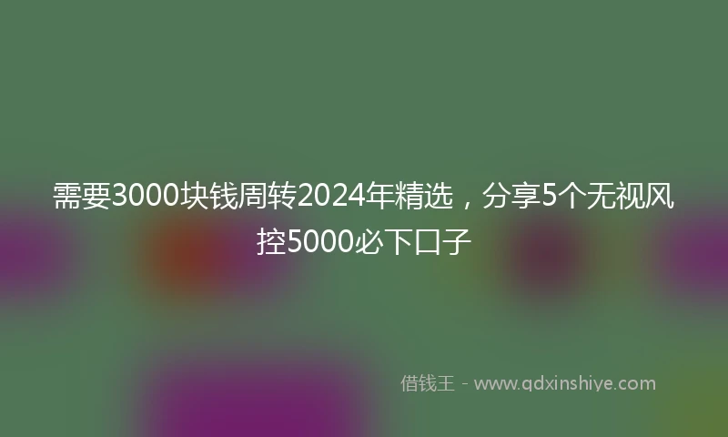 需要3000块钱周转2024年精选，分享5个无视风控5000必下口子