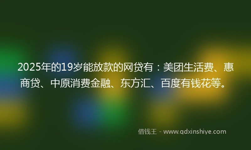 2025年的19岁能放款的网贷有：美团生活费、惠商贷、中原消费金融、东方汇、百度有钱花等。