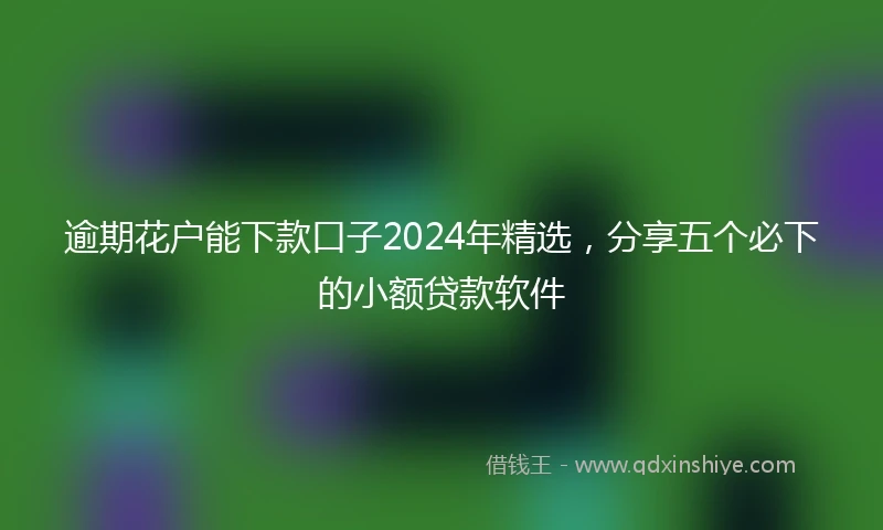 逾期花户能下款口子2024年精选，分享五个必下的小额贷款软件