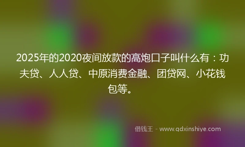2025年的2020夜间放款的高炮口子叫什么有：功夫贷、人人贷、中原消费金融、团贷网、小花钱包等。
