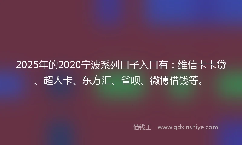 2025年的2020宁波系列口子入口有：维信卡卡贷、超人卡、东方汇、省呗、微博借钱等。