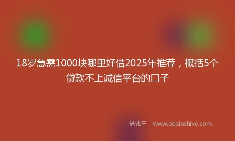 18岁急需1000块哪里好借2025年推荐，概括5个贷款不上诚信平台的口子