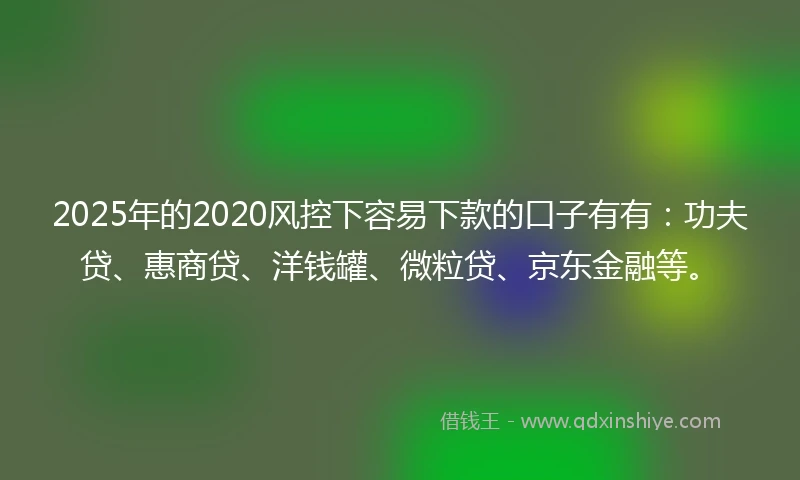 2025年的2020风控下容易下款的口子有有：功夫贷、惠商贷、洋钱罐、微粒贷、京东金融等。