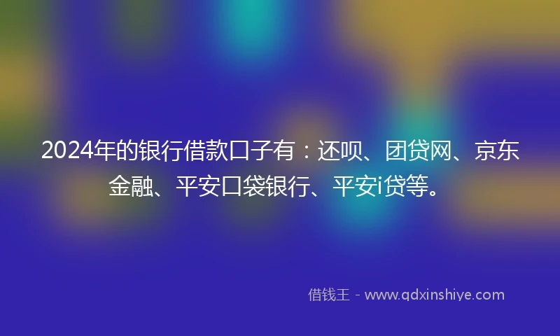 2024年的银行借款口子有：还呗、团贷网、京东金融、平安口袋银行、平安i贷等。