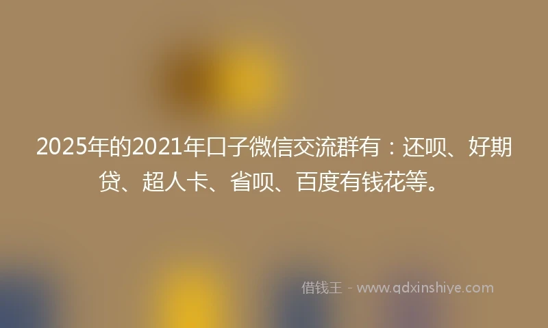 2025年的2021年口子微信交流群有：还呗、好期贷、超人卡、省呗、百度有钱花等。