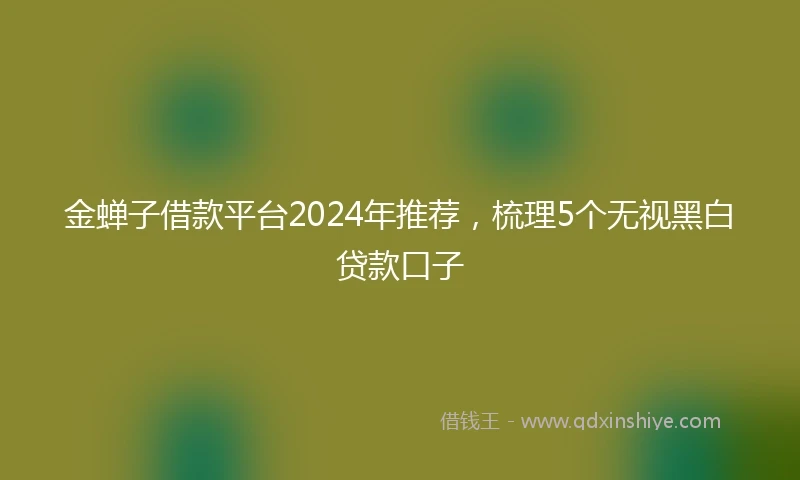 金蝉子借款平台2024年推荐，梳理5个无视黑白贷款口子