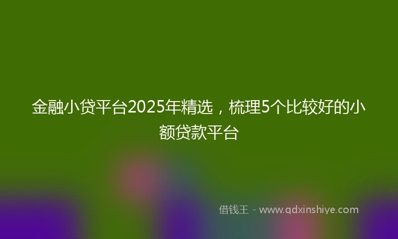金融小贷平台2025年精选，梳理5个比较好的小额贷款平台