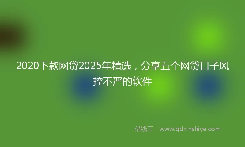 2020下款网贷2025年精选，分享五个网贷口子风控不严的软件