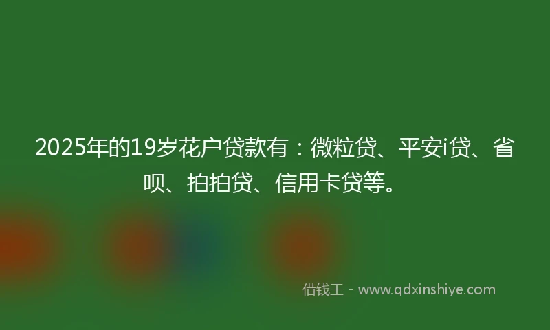 2025年的19岁花户贷款有：微粒贷、平安i贷、省呗、拍拍贷、信用卡贷等。