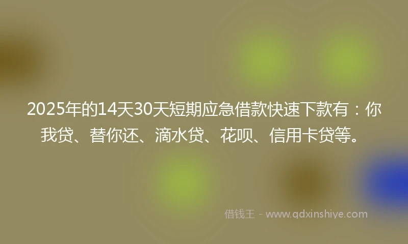 2025年的14天30天短期应急借款快速下款有：你我贷、替你还、滴水贷、花呗、信用卡贷等。