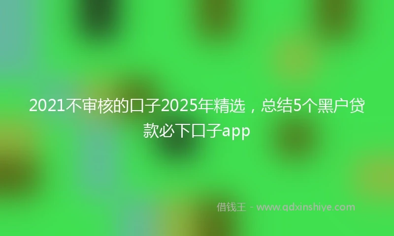 2021不审核的口子2025年精选，总结5个黑户贷款必下口子app