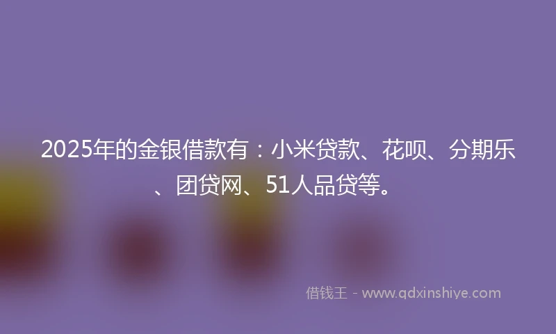 2025年的金银借款有：小米贷款、花呗、分期乐、团贷网、51人品贷等。
