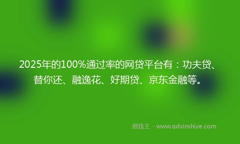 2025年的100%通过率的网贷平台有：功夫贷、替你还、融逸花、好期贷、京东金融等。