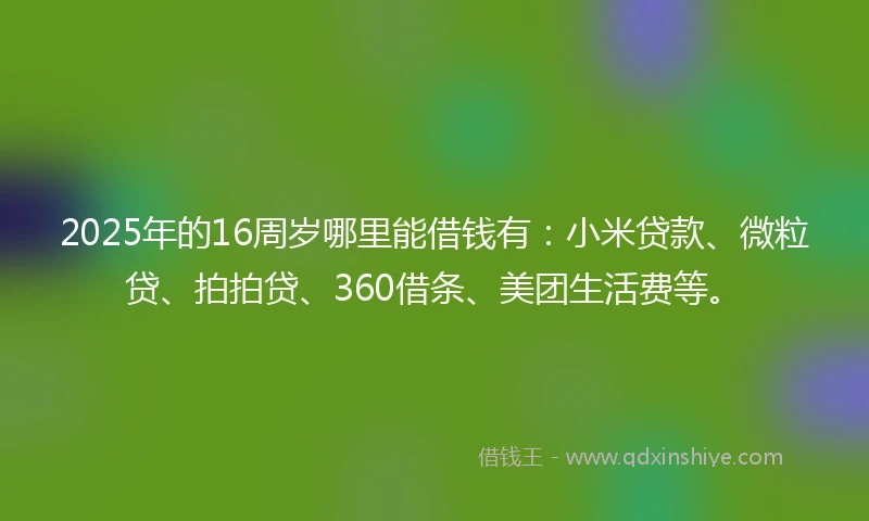 2025年的16周岁哪里能借钱有：小米贷款、微粒贷、拍拍贷、360借条、美团生活费等。