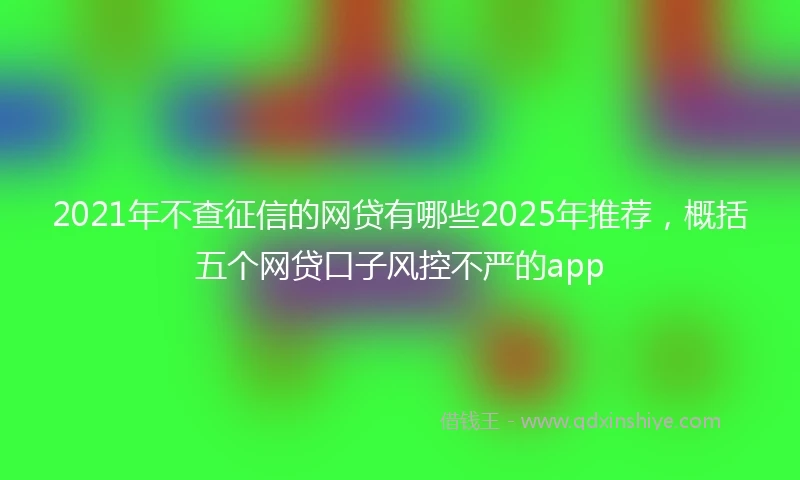 2021年不查征信的网贷有哪些2025年推荐，概括五个网贷口子风控不严的app