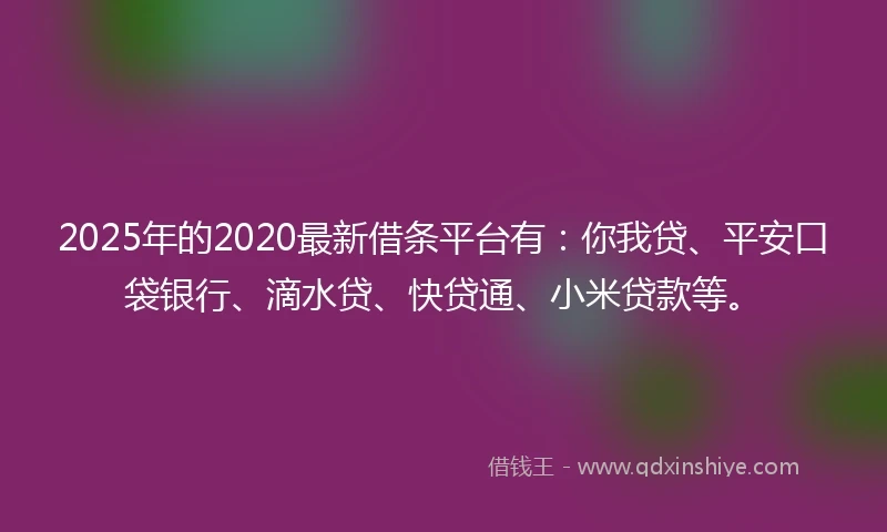 2025年的2020最新借条平台有：你我贷、平安口袋银行、滴水贷、快贷通、小米贷款等。