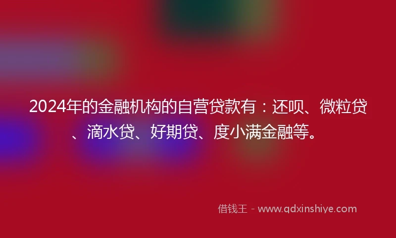 2024年的金融机构的自营贷款有：还呗、微粒贷、滴水贷、好期贷、度小满金融等。