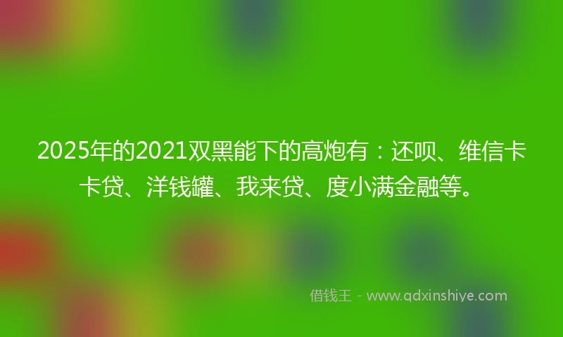 2025年的2021双黑能下的高炮有：还呗、维信卡卡贷、洋钱罐、我来贷、度小满金融等。