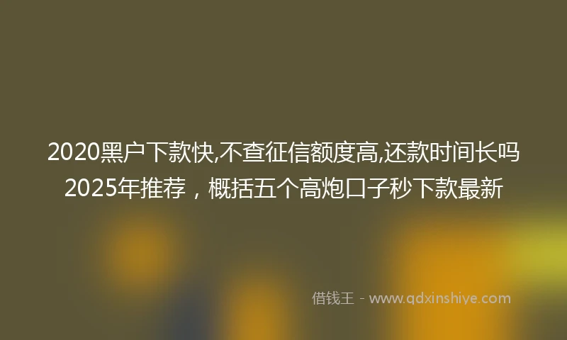 2020黑户下款快,不查征信额度高,还款时间长吗2025年推荐，概括五个高炮口子秒下款最新