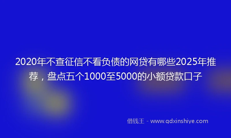 2020年不查征信不看负债的网贷有哪些2025年推荐，盘点五个1000至5000的小额贷款口子