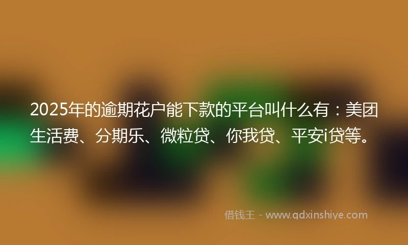 2025年的逾期花户能下款的平台叫什么有：美团生活费、分期乐、微粒贷、你我贷、平安i贷等。