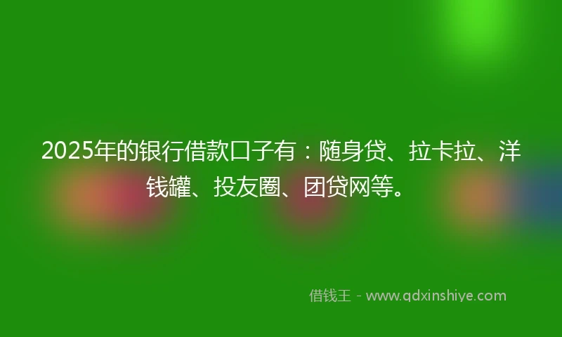 2025年的银行借款口子有：随身贷、拉卡拉、洋钱罐、投友圈、团贷网等。