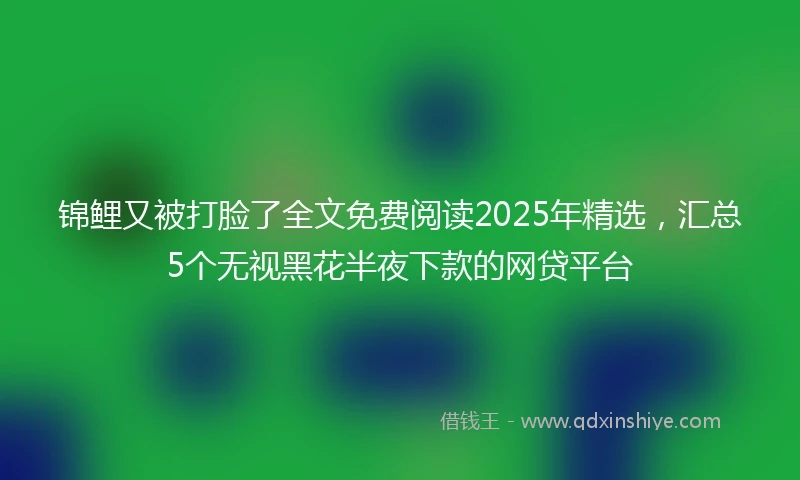 锦鲤又被打脸了全文免费阅读2025年精选，汇总5个无视黑花半夜下款的网贷平台