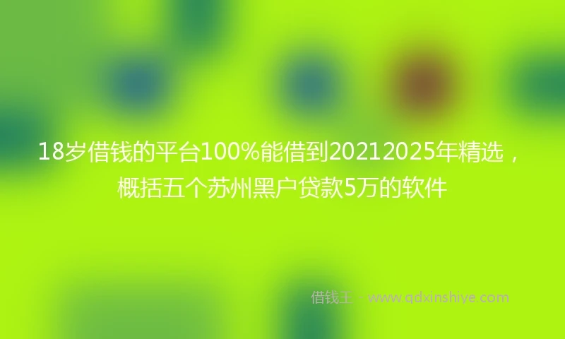 18岁借钱的平台100%能借到20212025年精选，概括五个苏州黑户贷款5万的软件