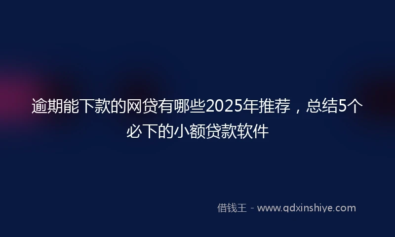 逾期能下款的网贷有哪些2025年推荐，总结5个必下的小额贷款软件