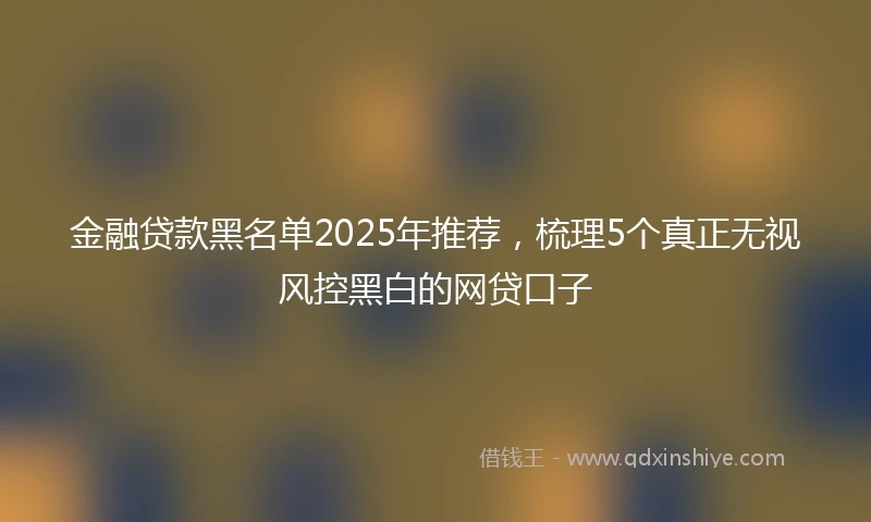 金融贷款黑名单2025年推荐，梳理5个真正无视风控黑白的网贷口子