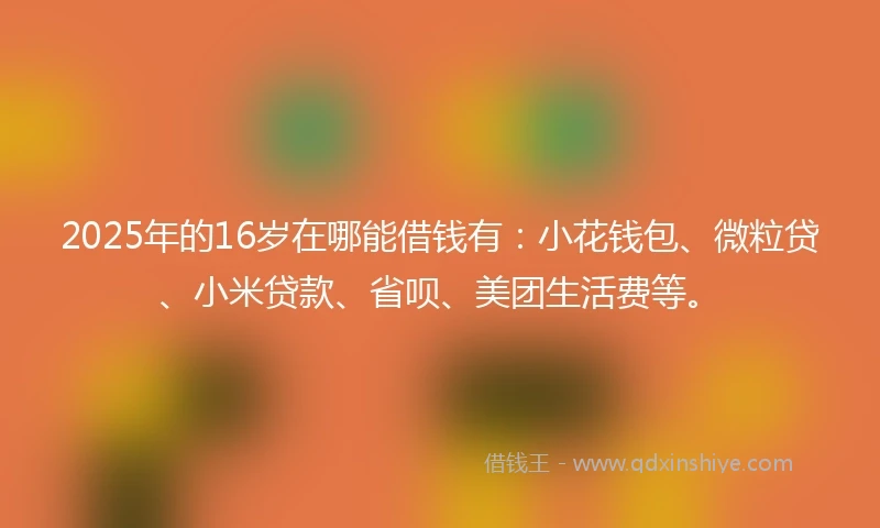 2025年的16岁在哪能借钱有：小花钱包、微粒贷、小米贷款、省呗、美团生活费等。