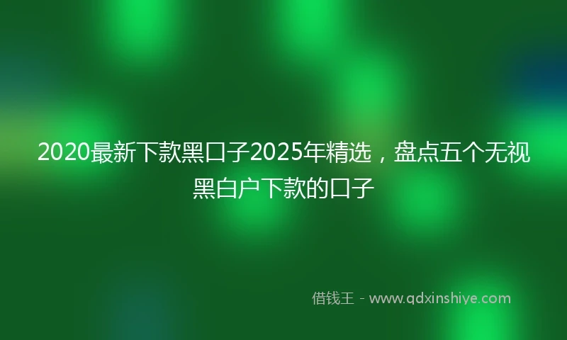 2020最新下款黑口子2025年精选，盘点五个无视黑白户下款的口子