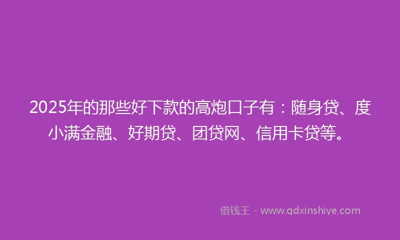 2025年的那些好下款的高炮口子有：随身贷、度小满金融、好期贷、团贷网、信用卡贷等。