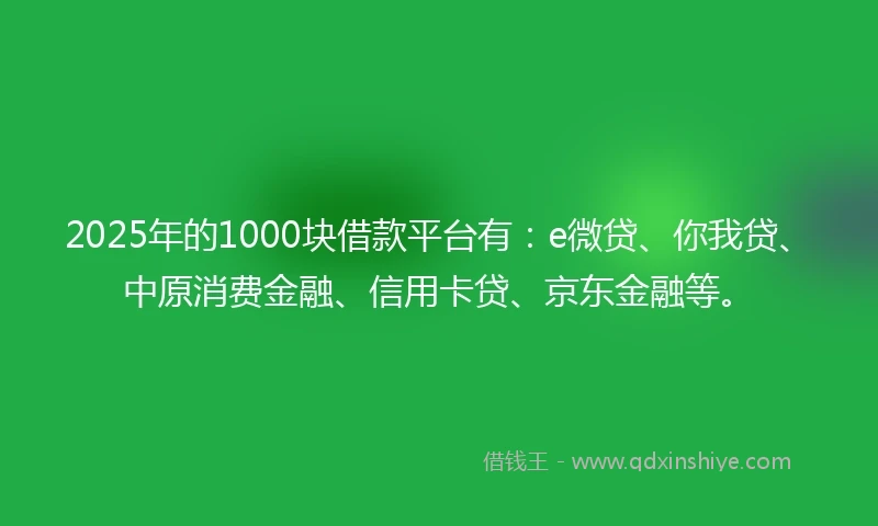 2025年的1000块借款平台有：e微贷、你我贷、中原消费金融、信用卡贷、京东金融等。