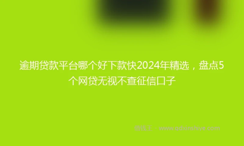 逾期贷款平台哪个好下款快2024年精选，盘点5个网贷无视不查征信口子