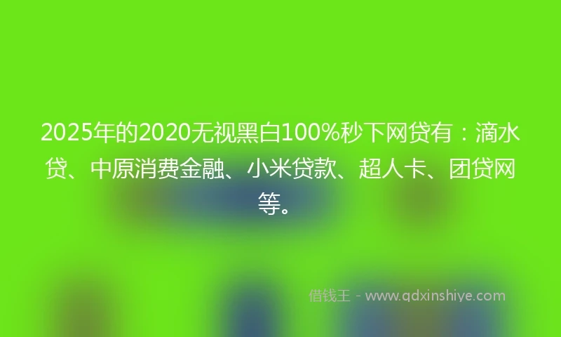 2025年的2020无视黑白100%秒下网贷有：滴水贷、中原消费金融、小米贷款、超人卡、团贷网等。
