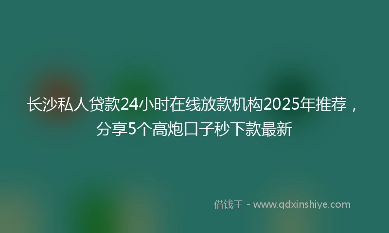 长沙私人贷款24小时在线放款机构2025年推荐，分享5个高炮口子秒下款最新